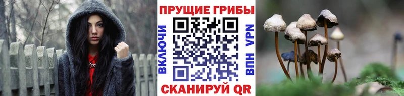 Псилоцибиновые грибы MAGIC MUSHROOMS  kraken маркетплейс  Малоархангельск  как найти закладки 
